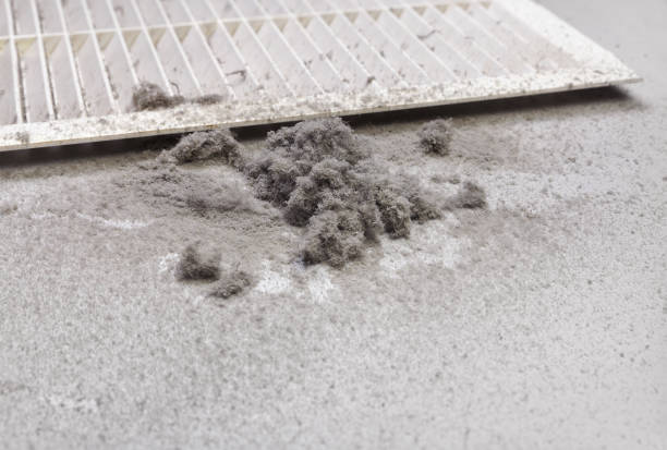 Best Best Air Duct Cleaning Company  in Deville, AL