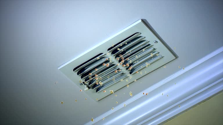 Best Air Duct Mold Removal  in Deville, AL