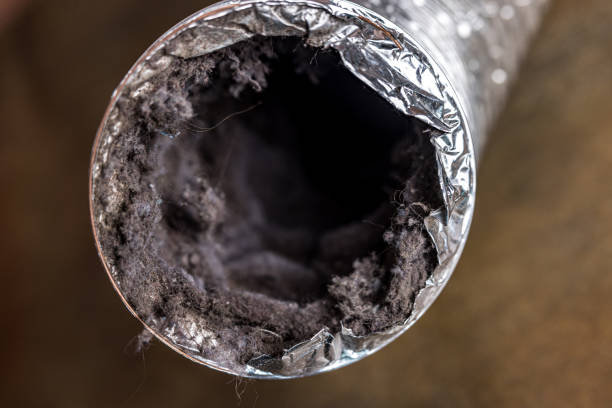 Best Affordable Duct Cleaning Services  in Deville, AL
