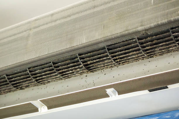 Best Emergency Air Duct Cleaning  in Deville, AL
