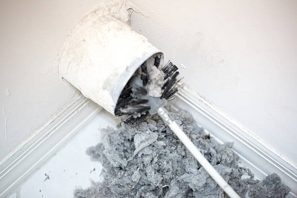 Best Air Duct Cleaning Near Me  in Deville, AL