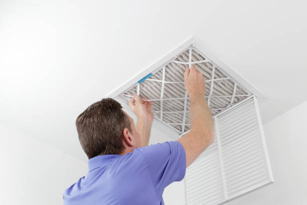 Best General Air Duct Cleaning  in Deville, AL